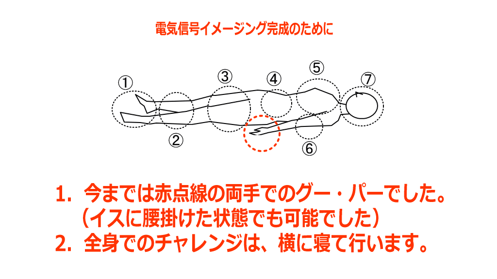 電気信号イメージング全身の図イメージ画像