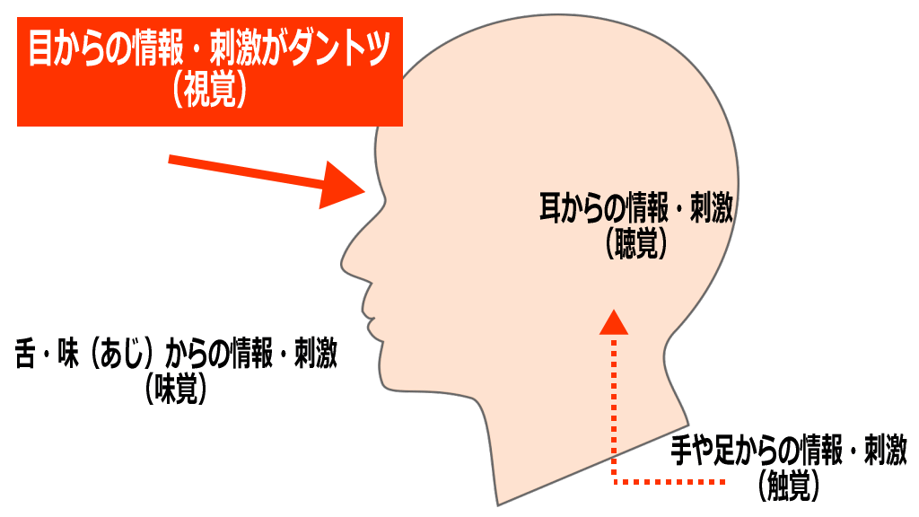 目からの情報・刺激のイメージ画像