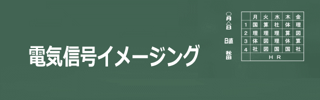 電気信号イメージングのイメージ画像